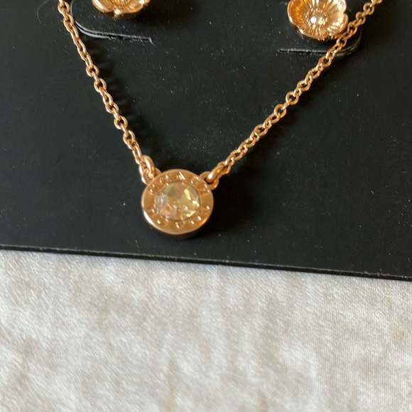 Coach: Rose Gold Jewelry Set- Necklace & Earrings - Picture 6 of 12
